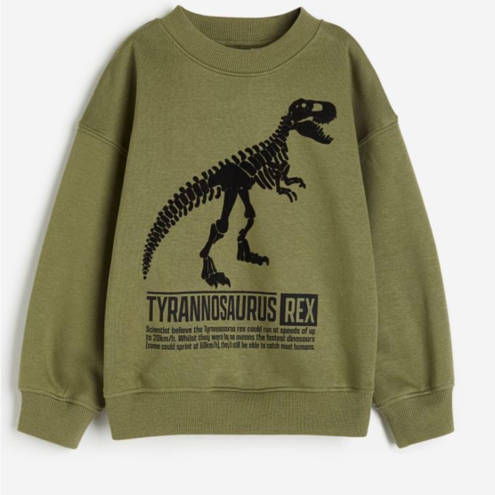 H&M Boys sweater & sweatshirt